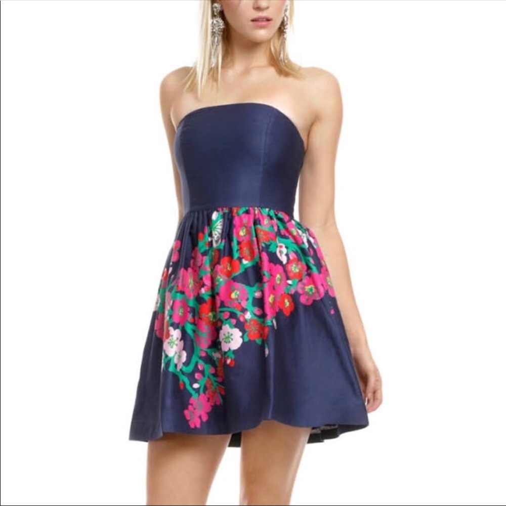Lilly Norris dress